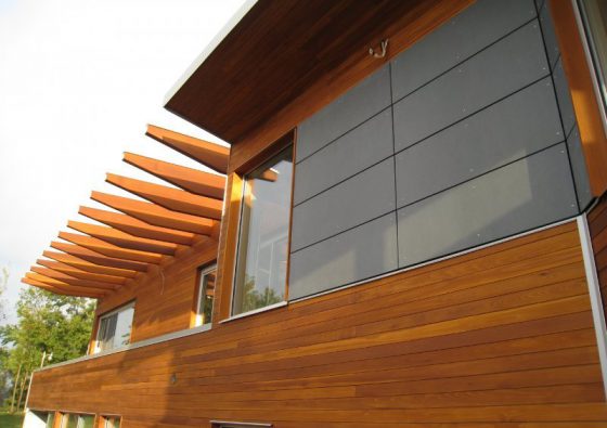 Cedar Siding